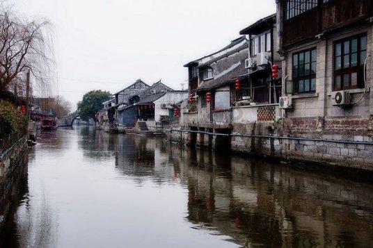 诱捕小浣熊